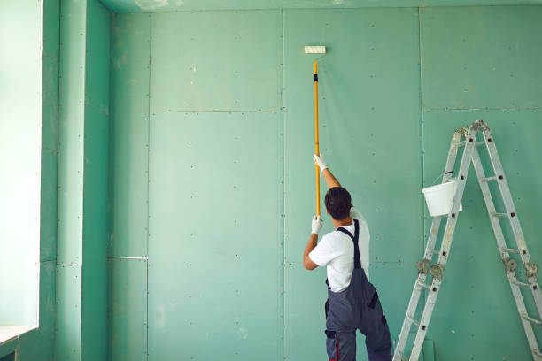  Pima, AZ Mold Removal Pros